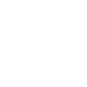 Capgemini Home