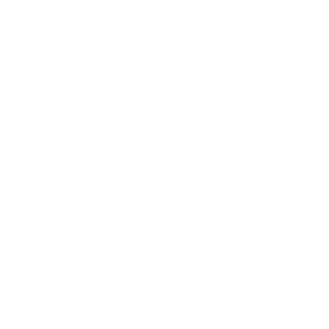 YSL Home